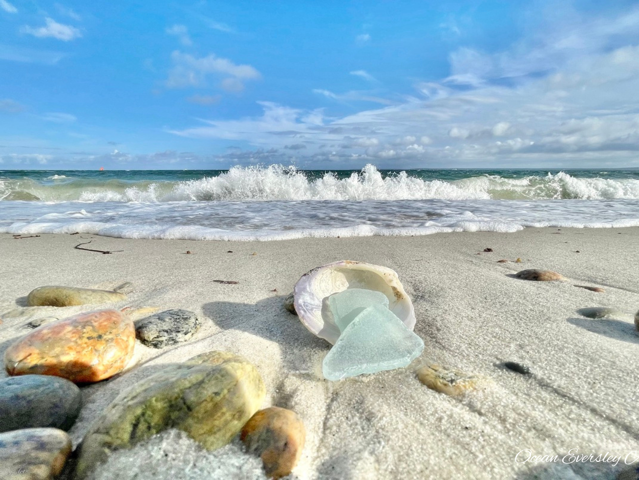 Syntax of the Living Coast