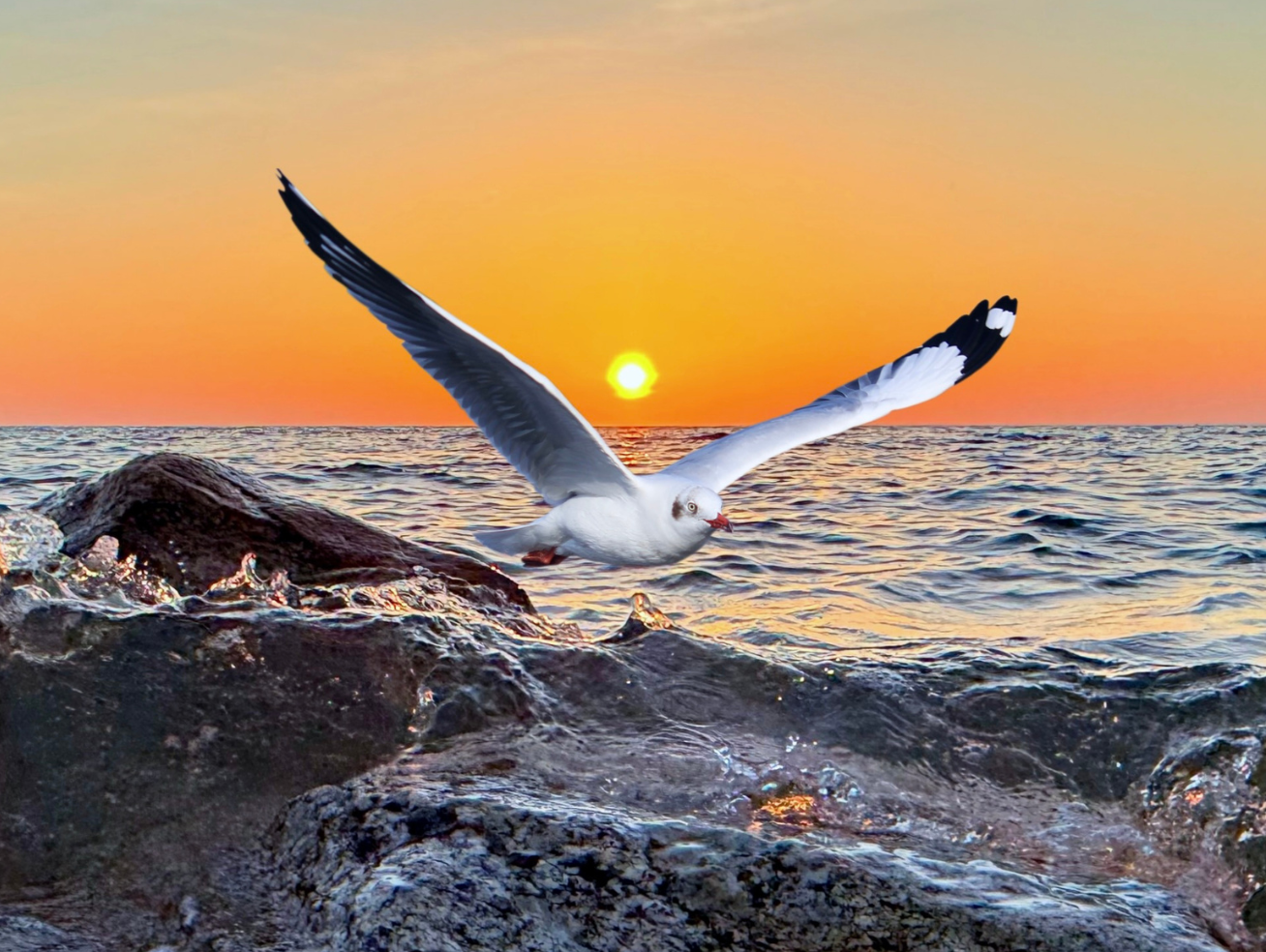 Flight at the Edge of Day