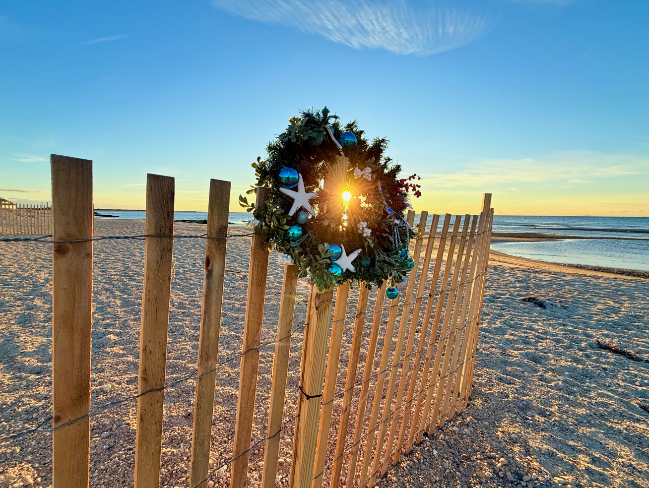 The Shoreline's Oracle