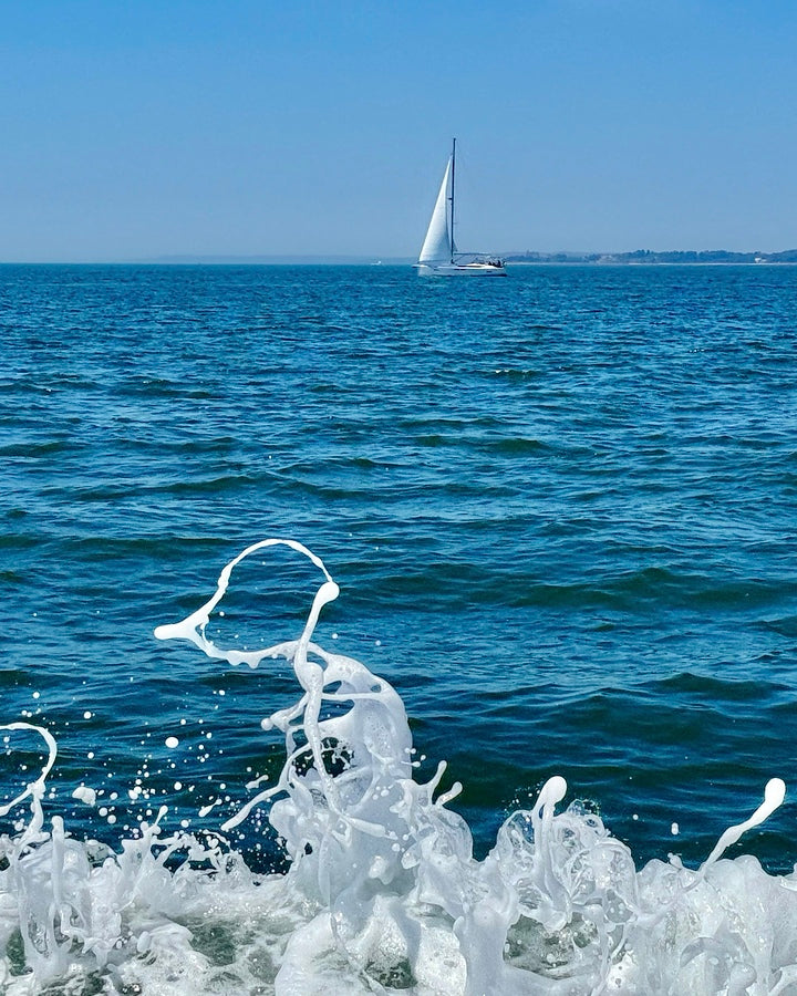 2401845 :: Giclée Rolled Canvas Print