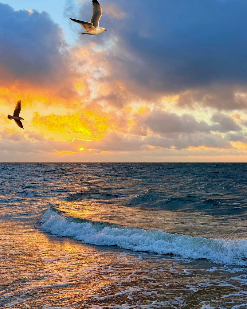 2488679 :: Giclée Poster Satin Photo Paper Print