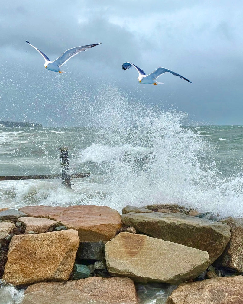 2516246 :: Giclée Fine Art Matte Paper Print