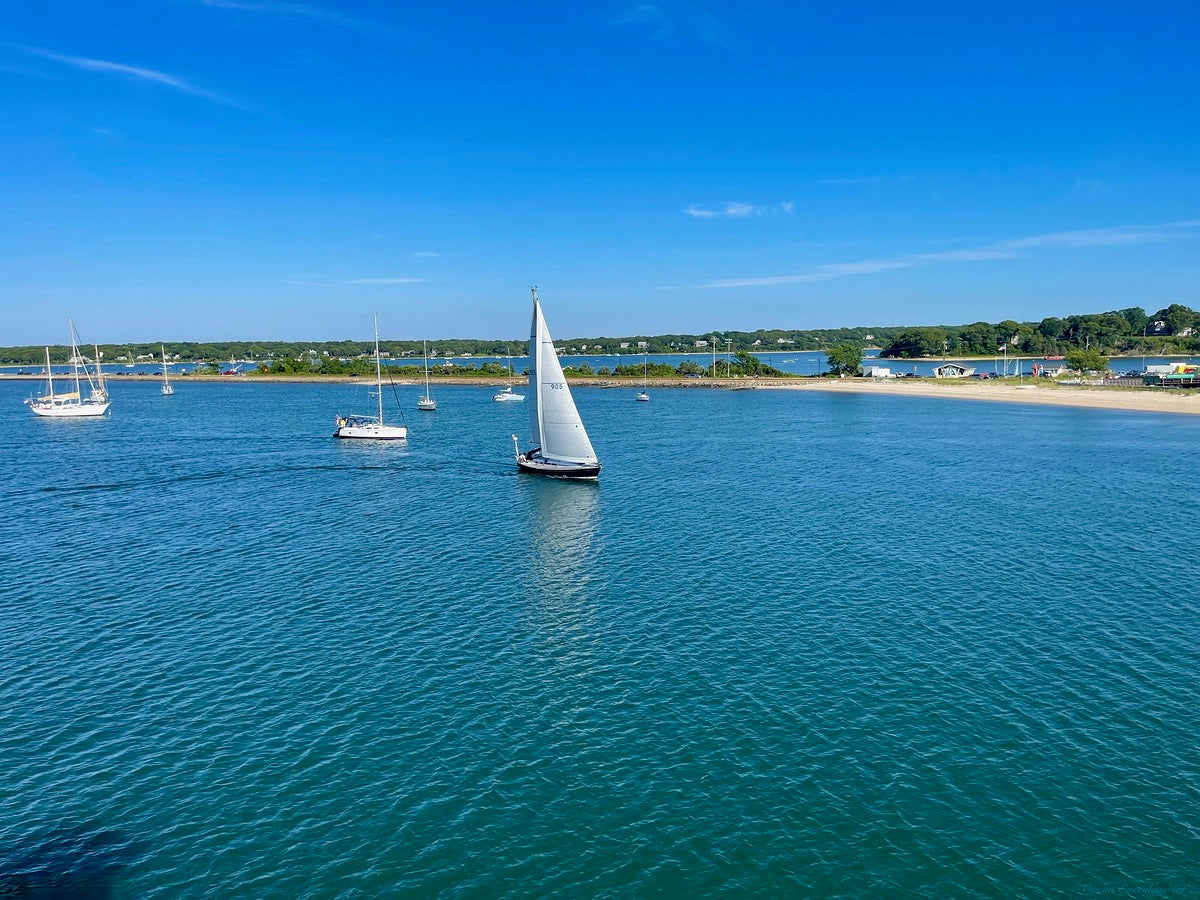 Giclee Fine Art Matte Paper Print