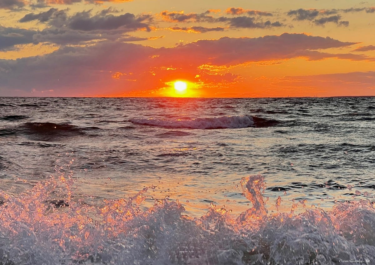 2377742 :: Giclée Rolled Canvas Print