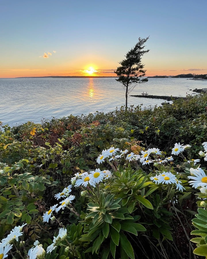 Giclee Fine Art Matte Paper Print