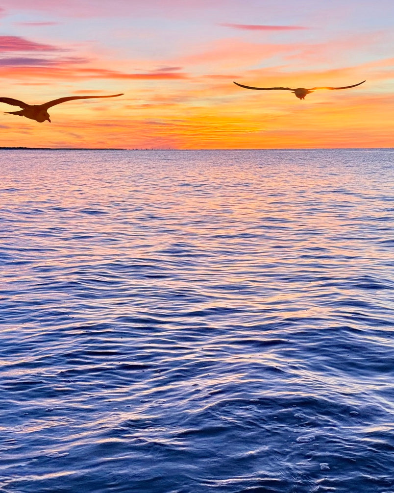 2487268 :: Giclée Fine Art Matte Paper Print