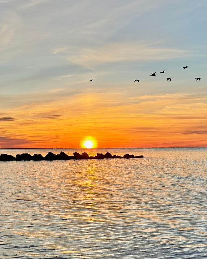 2487902 :: Giclée Rolled Canvas Print