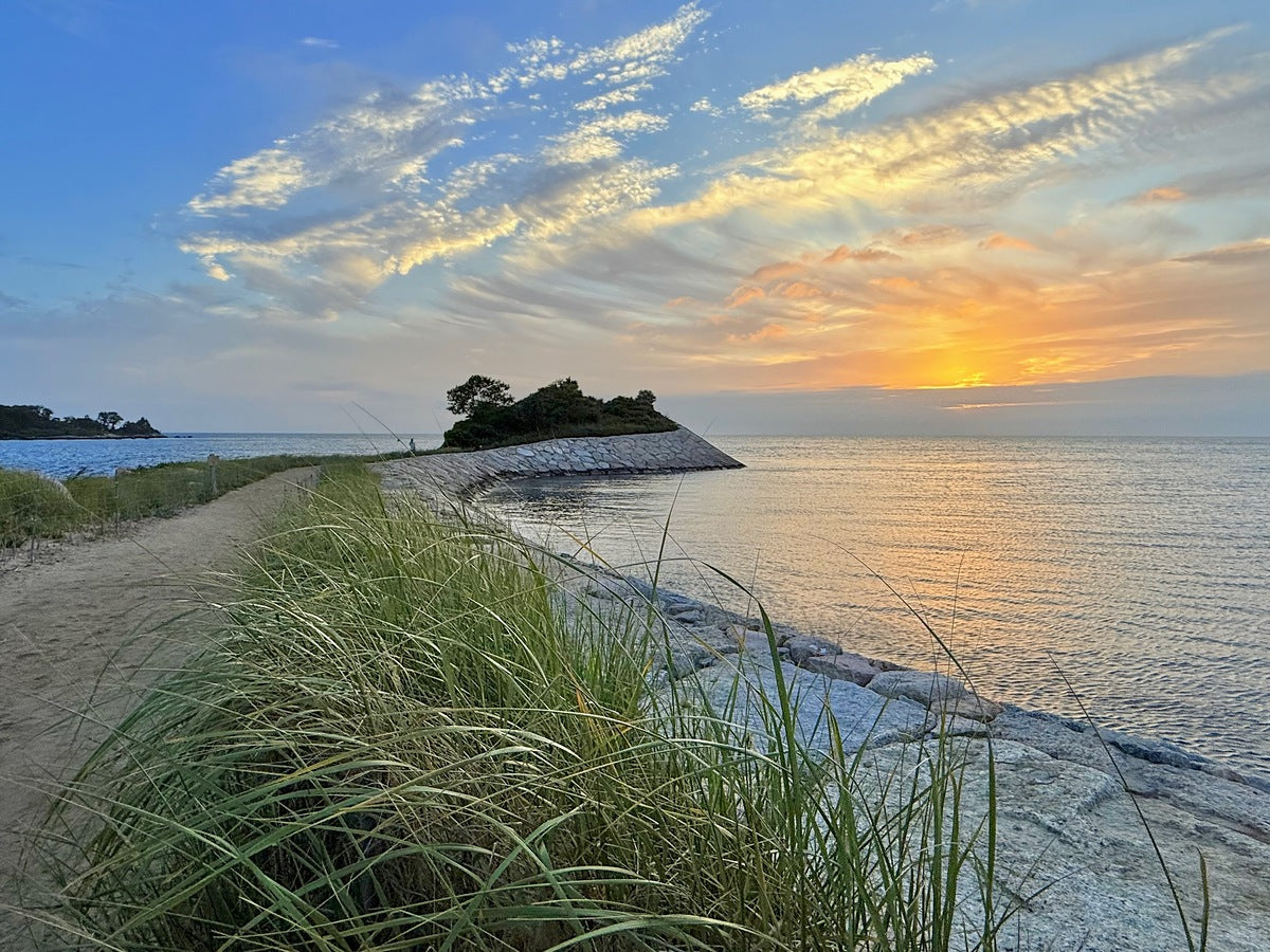 2442746 :: Giclée Fine Art Matte Paper Print