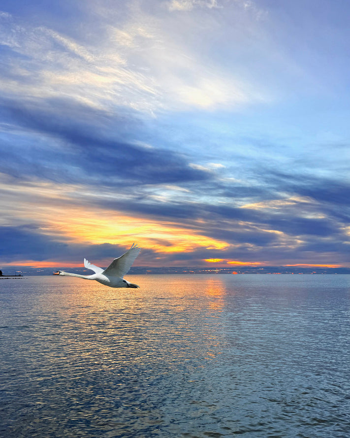 2498574 :: Giclée Poster Satin Photo Paper Print