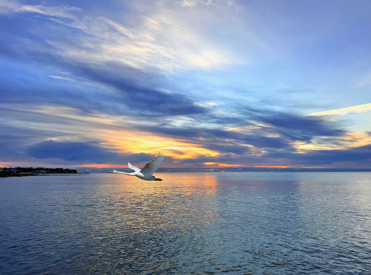 2498574 :: Giclée Rolled Canvas Print