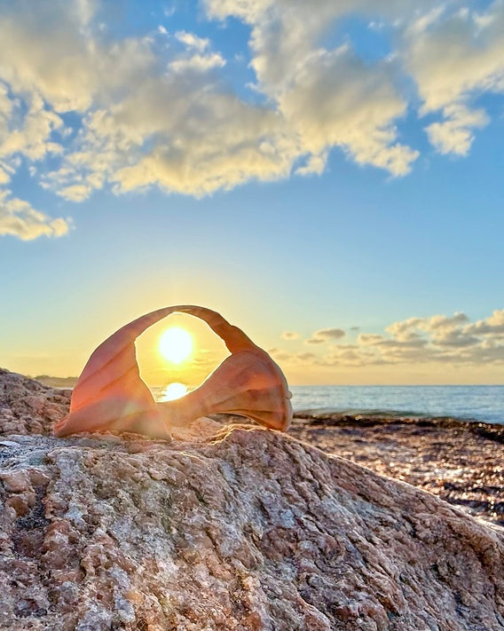 2473990 :: Giclée Fine Art Matte Paper Print