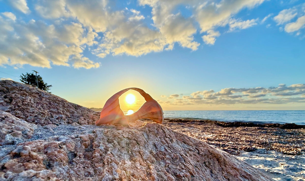 2473990 :: Giclée Fine Art Matte Paper Print