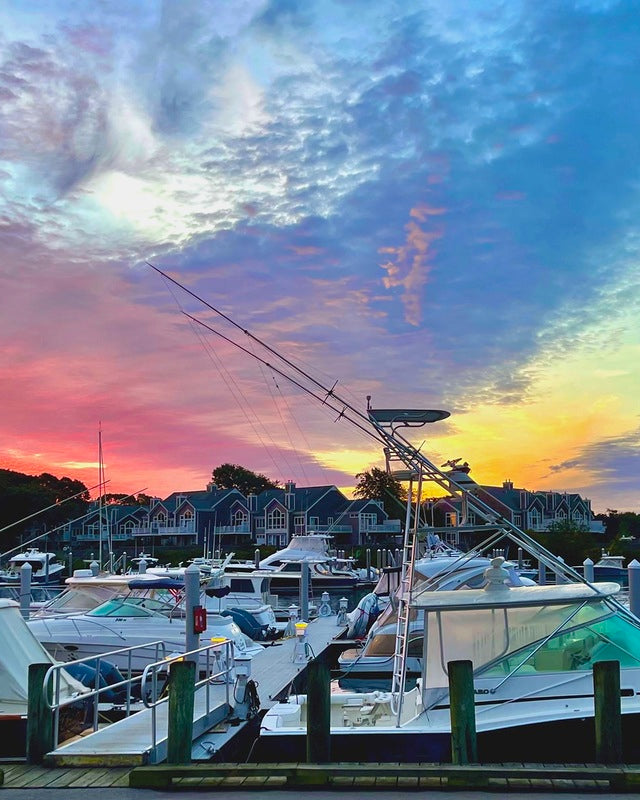 2237254 :: Giclée Rolled Canvas Print