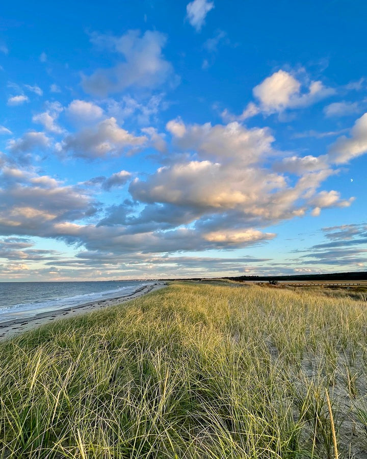 2375002 :: Giclée Fine Art Matte Paper Print