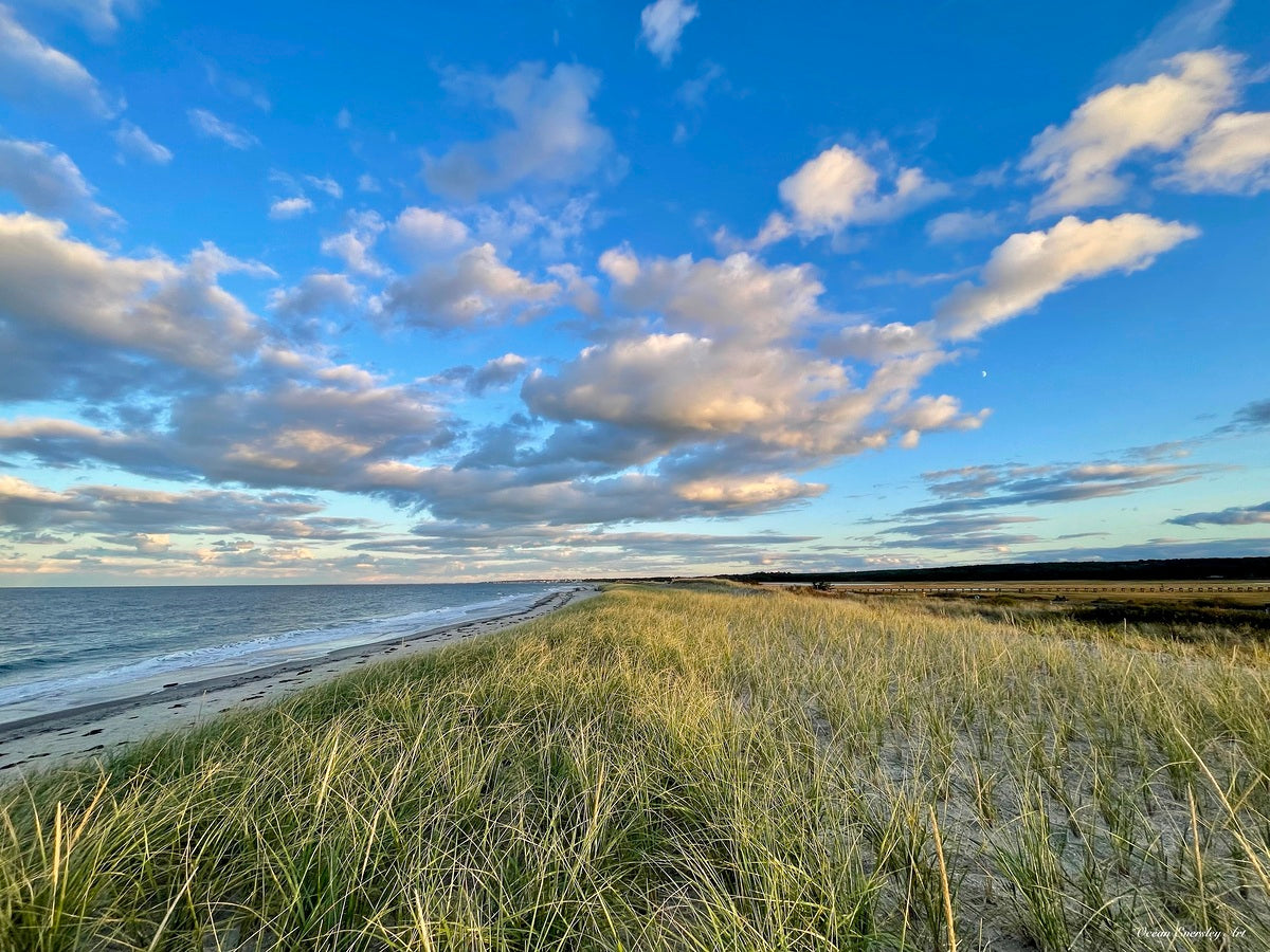 2375002 :: Giclée Poster Satin Photo Paper Print