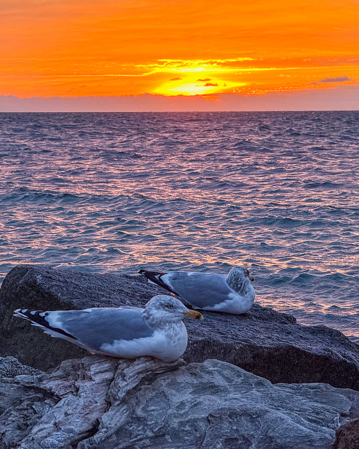 2519744 :: Giclée Rolled Canvas Print