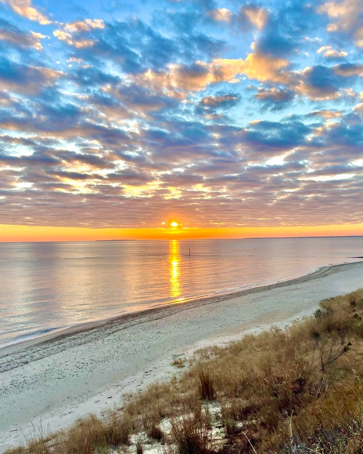 2519947 :: Giclée Poster Satin Photo Paper Print