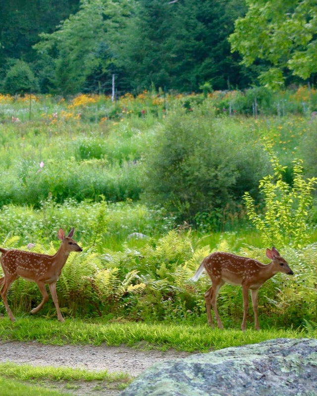 2374222 :: Giclée Fine Art Matte Paper Print