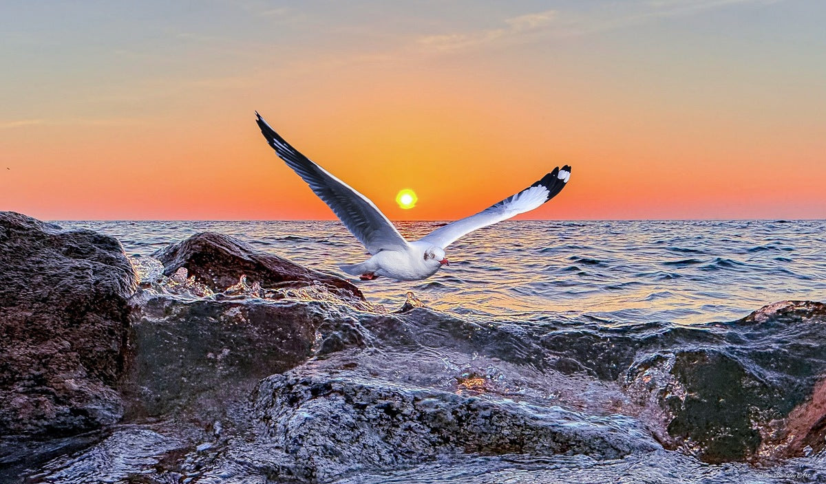 2402360 :: Giclée Poster Satin Photo Paper Print