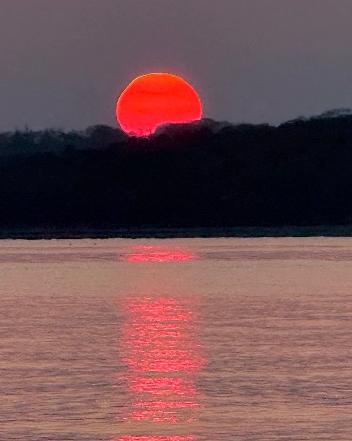 2498023 :: Giclée Fine Art Matte Paper Print