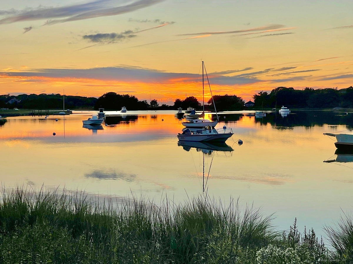 2237257 :: Giclée Rolled Canvas Print