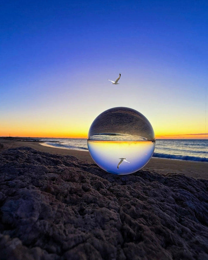 2515990 :: Giclée Rolled Canvas Print