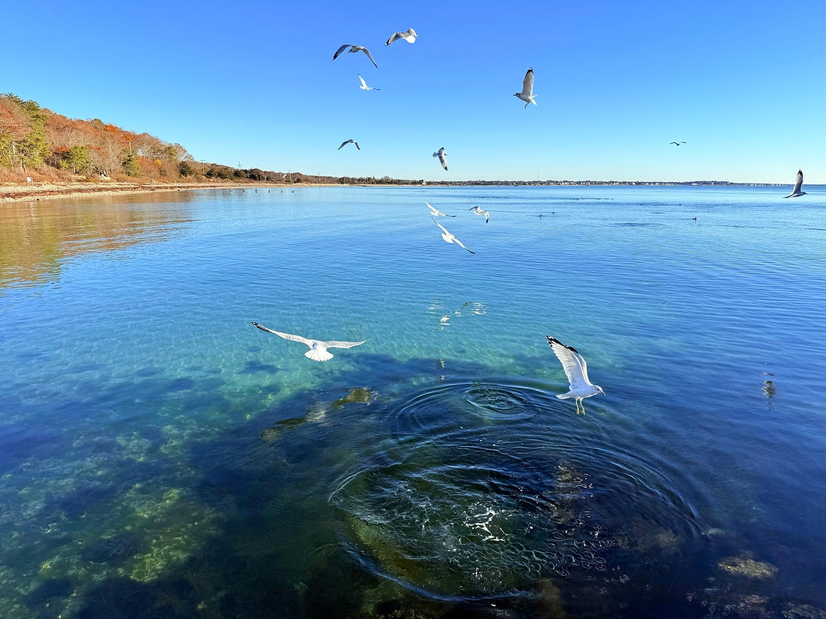 2498578 :: Giclée Fine Art Matte Paper Print