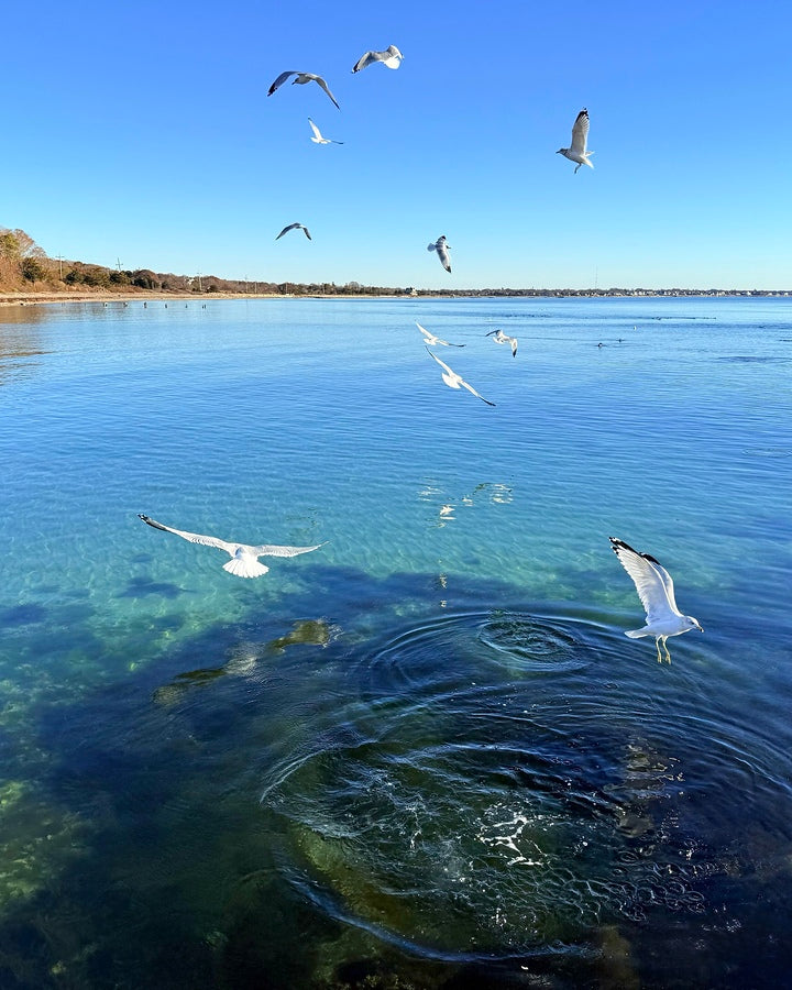 2498578 :: Giclée Poster Satin Photo Paper Print