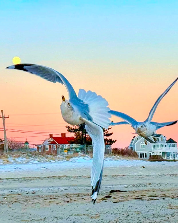 2527931 :: Giclée Fine Art Matte Paper Print