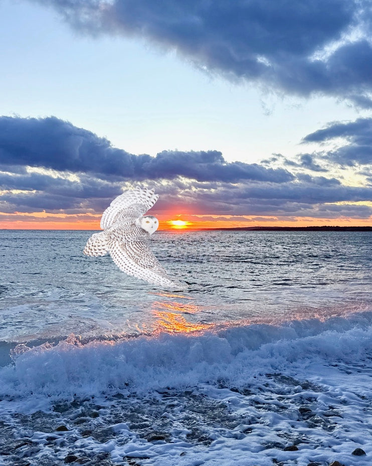 2521712 :: Giclée Fine Art Matte Paper Print