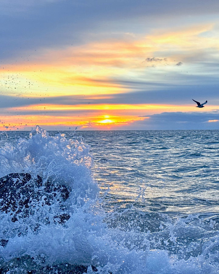 2529222 :: Giclée Poster Satin Photo Paper Print