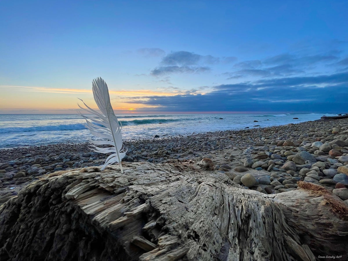 Giclee Rolled Canvas Print