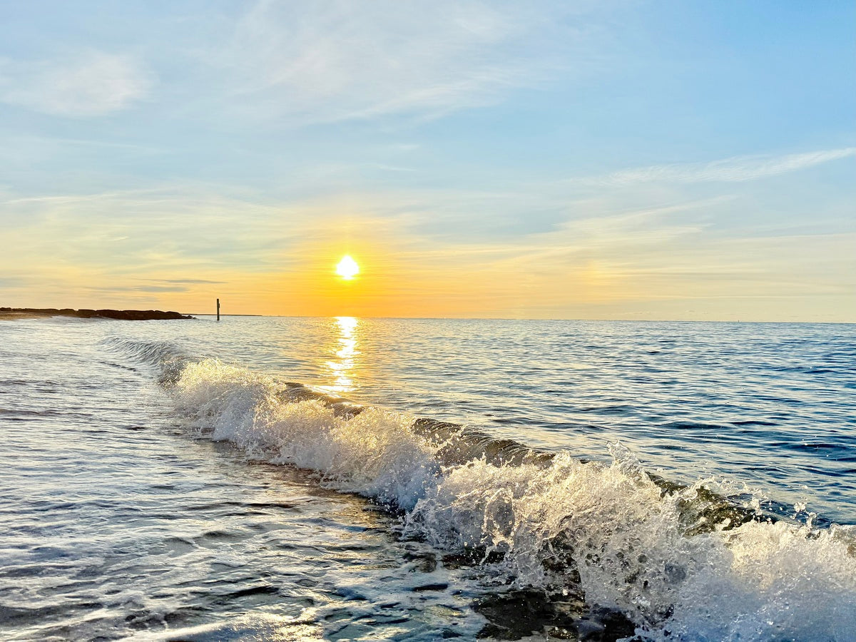 2488683 :: Giclée Rolled Canvas Print