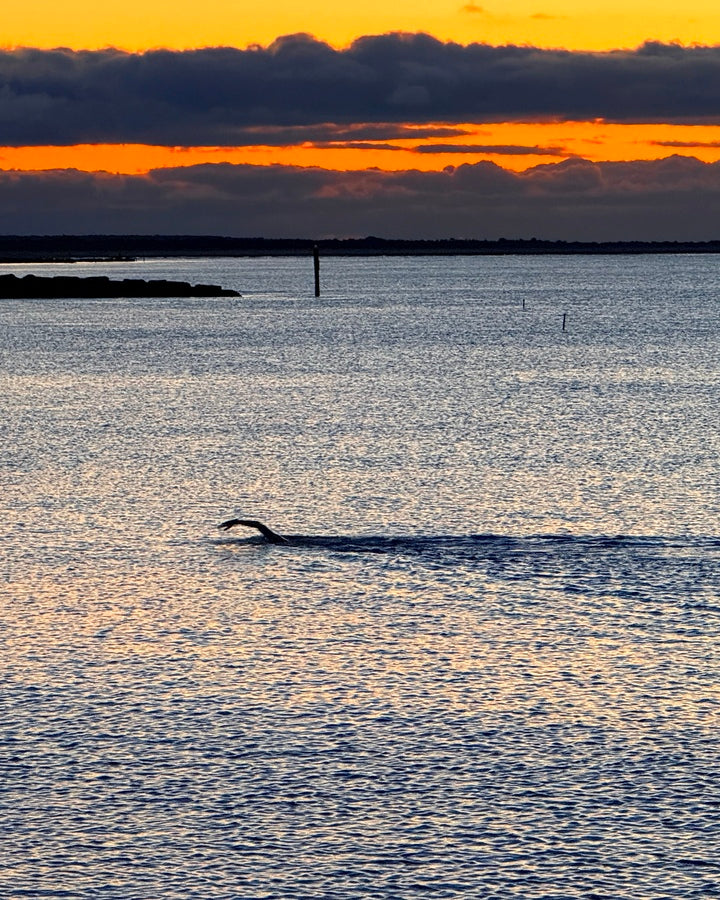 2479257 :: Giclée Fine Art Matte Paper Print