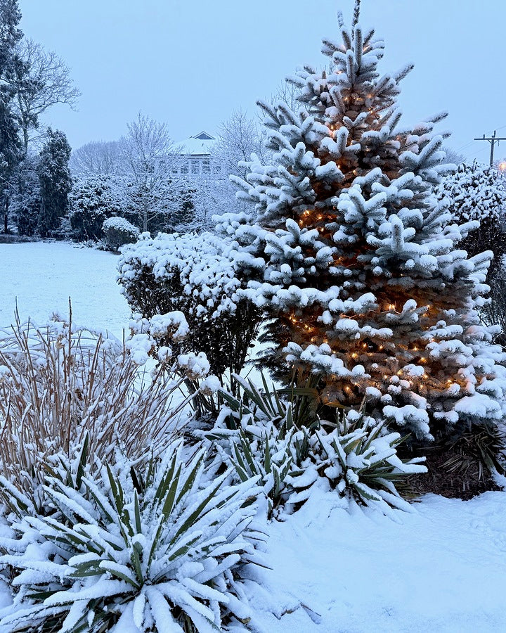 2511983 :: Giclée Rolled Canvas Print