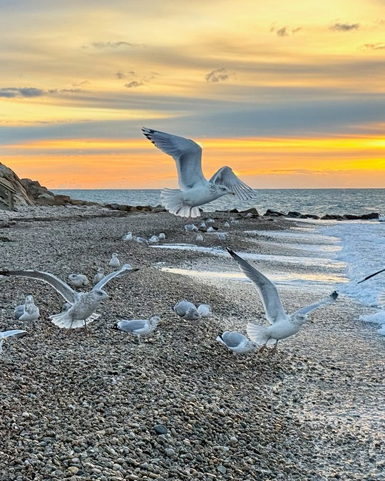 2528827 :: Giclée Fine Art Matte Paper Print