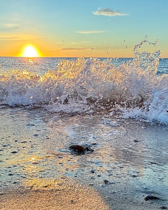 2488700 :: Giclée Fine Art Matte Paper Print