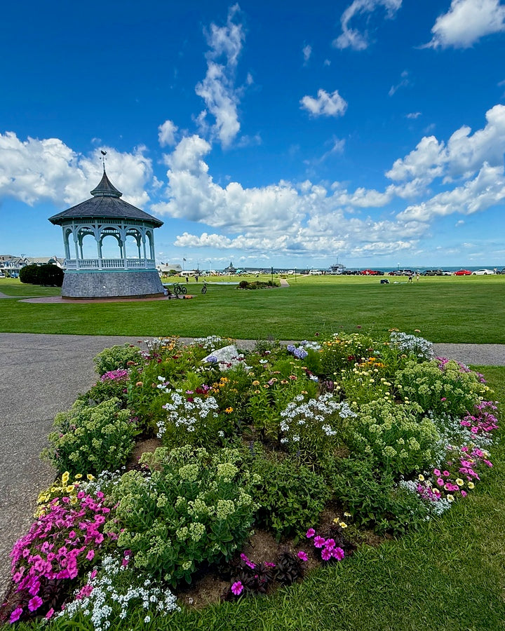 2497694 :: Giclée Rolled Canvas Print