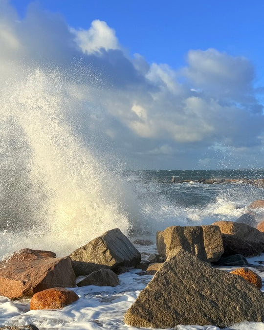 2483350 :: Giclée Poster Satin Photo Paper Print