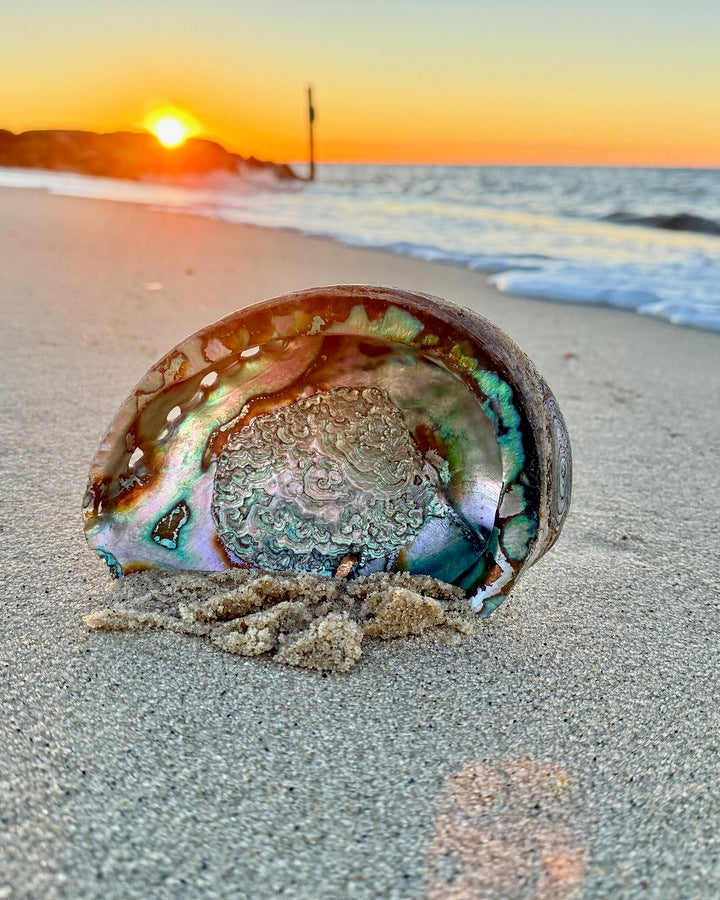 2516197 :: Giclée Rolled Canvas Print