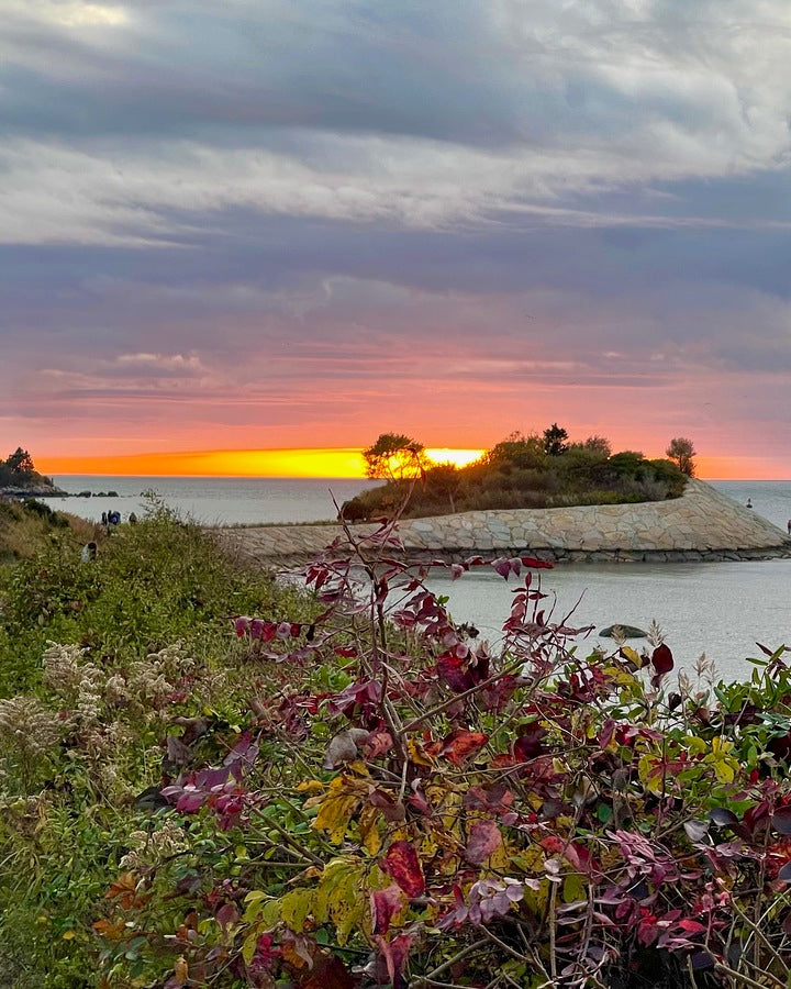 Giclee Rolled Canvas Print