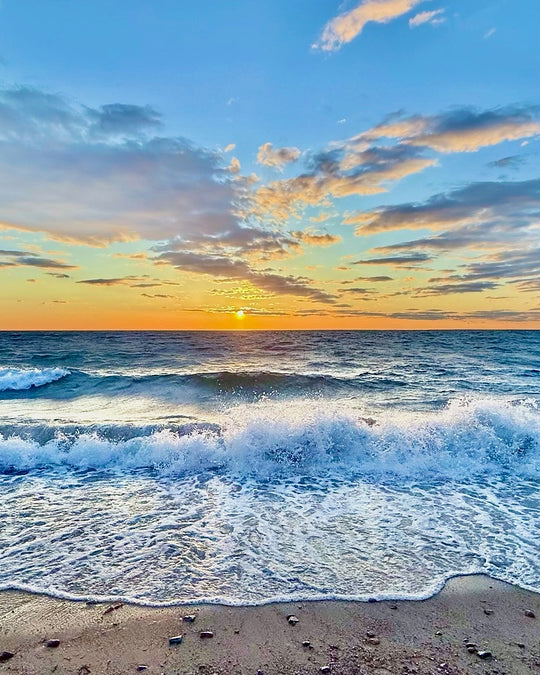 2671226 :: Giclée Rolled Canvas Print