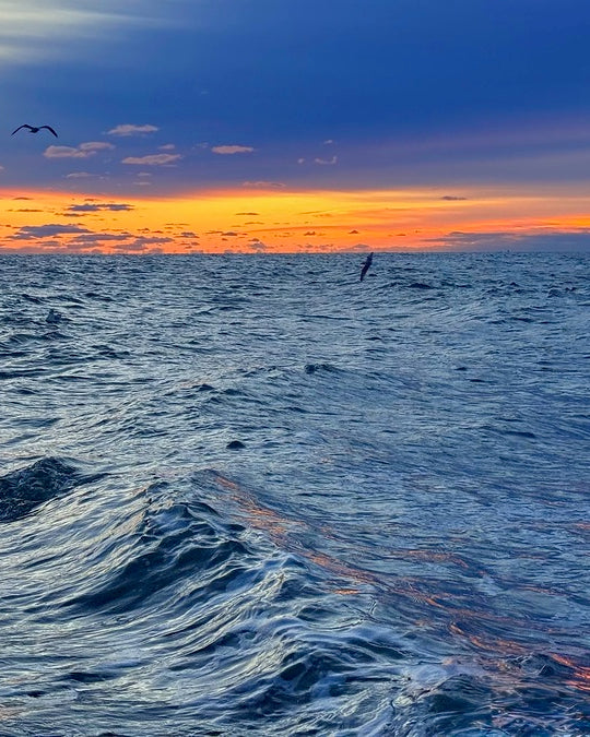 2529218 :: Giclée Fine Art Matte Paper Print