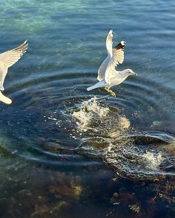 2498729 :: Giclée Fine Art Matte Paper Print