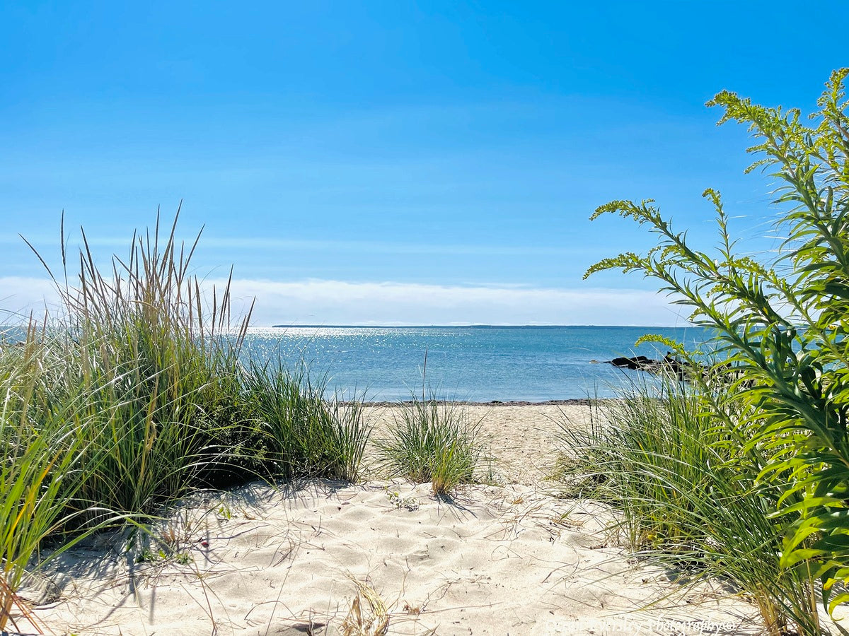 Giclee Fine Art Matte Paper Print