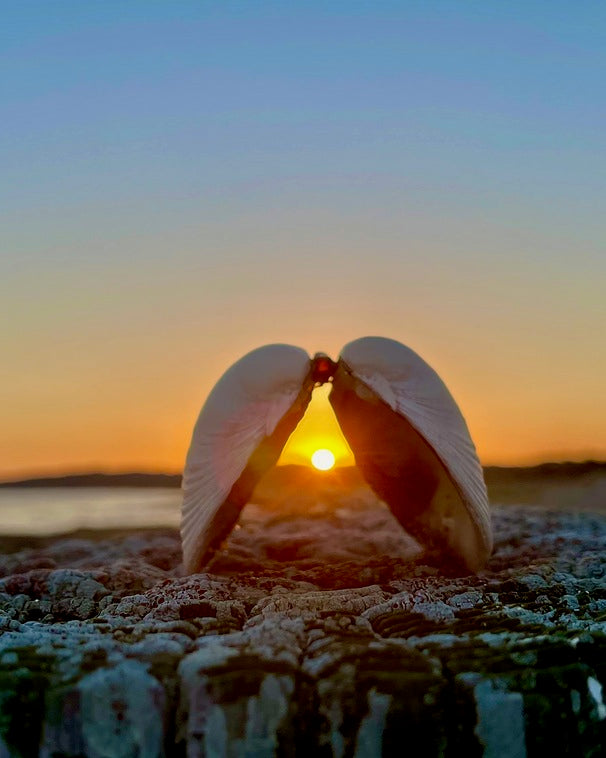 Giclee Fine Art Matte Paper Print