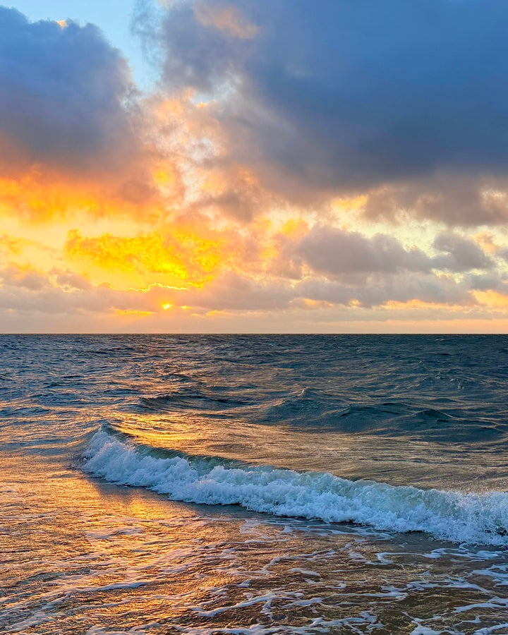 2487458 :: Giclée Rolled Canvas Print