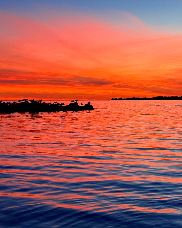 2503694 :: Giclée Poster Satin Photo Paper Print