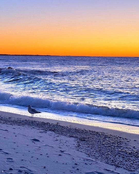 2498129 :: Giclée Fine Art Matte Paper Print