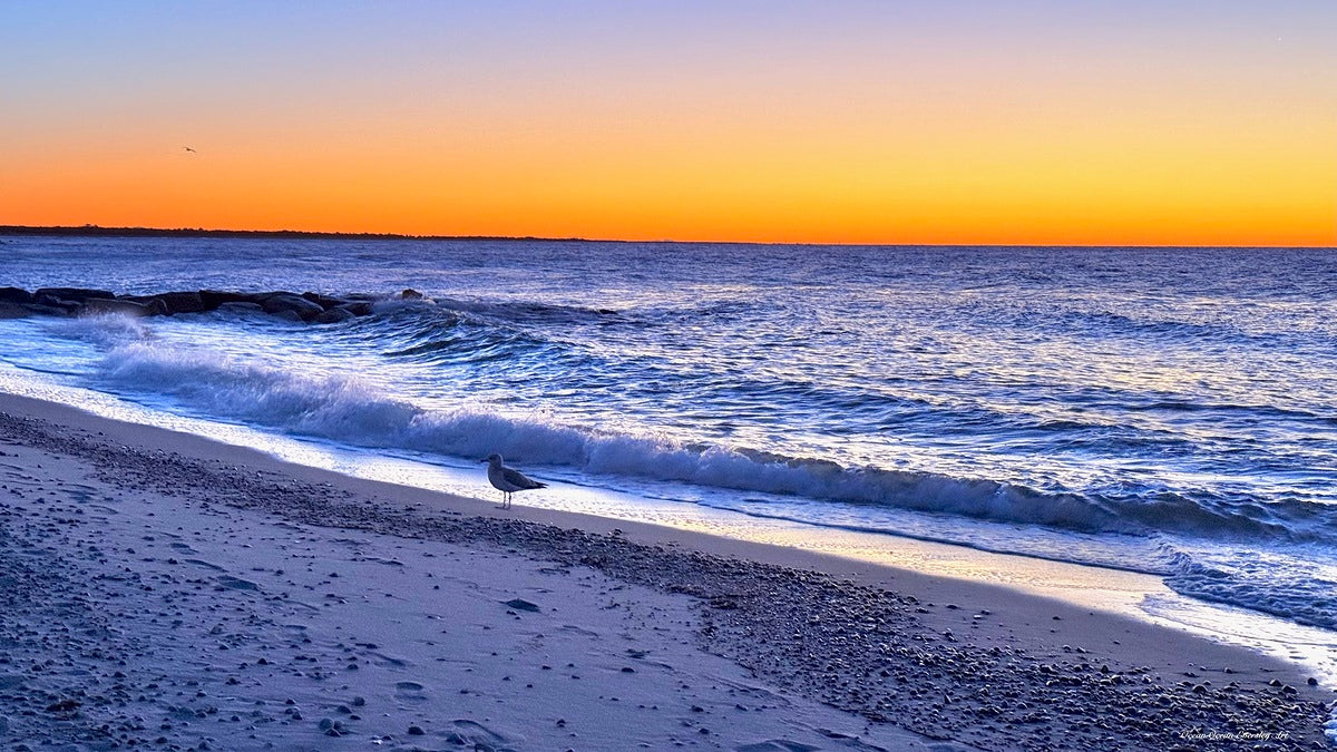 2498129 :: Giclée Rolled Canvas Print